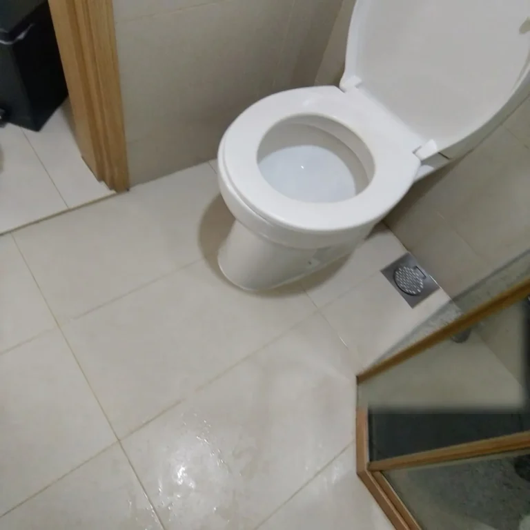 06